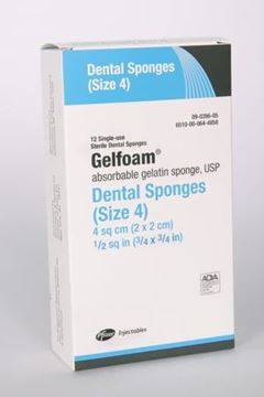 Picture of GELFOAM SIZE 4