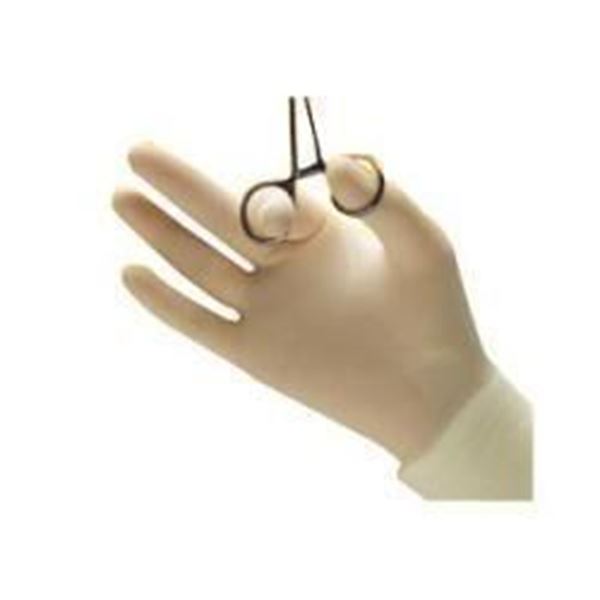 Picture of ALLEGIANCE SURGICAL GLOVES 7.0